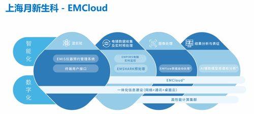 戴爾攜手上海月新生科 以強大算力賦能冷凍電鏡結構生物學研究新時代